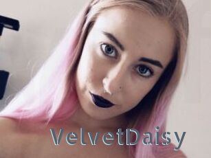 VelvetDaisy