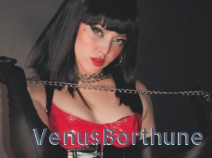 VenusBorthune