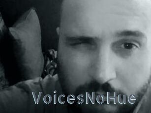 VoicesNoHue