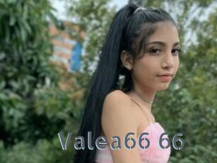 Valea66_66