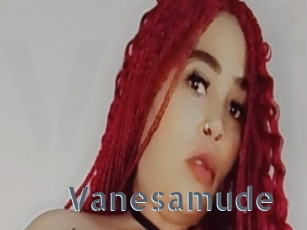 Vanesamude