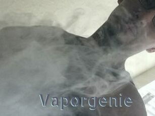 Vapor_genie