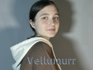 Vellumurr