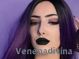 Venenadivina