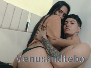 Venusandtebo