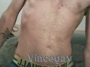 Vincegay