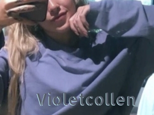 Violetcollen