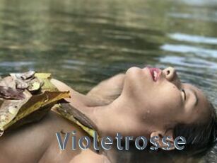 Violetrosse