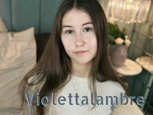 Violettalambre