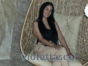 Violettascot