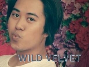 WILD_VELVET