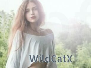 Wild_CatX