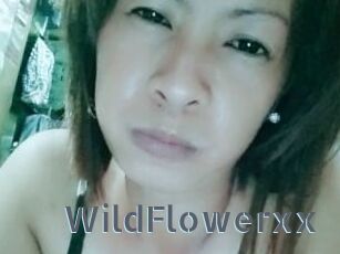 WildFlowerxx