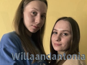 Willaandantonia