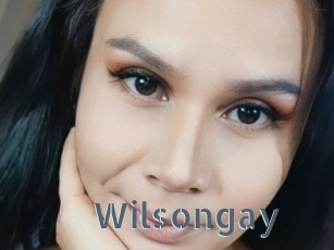 Wilsongay