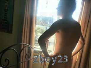 Zboy23