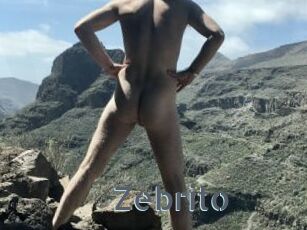 Zebrito