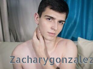 Zacharygonzalez